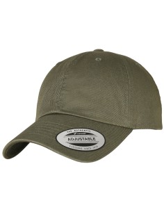 F-6245EC-Ecowash Dad Cap 2